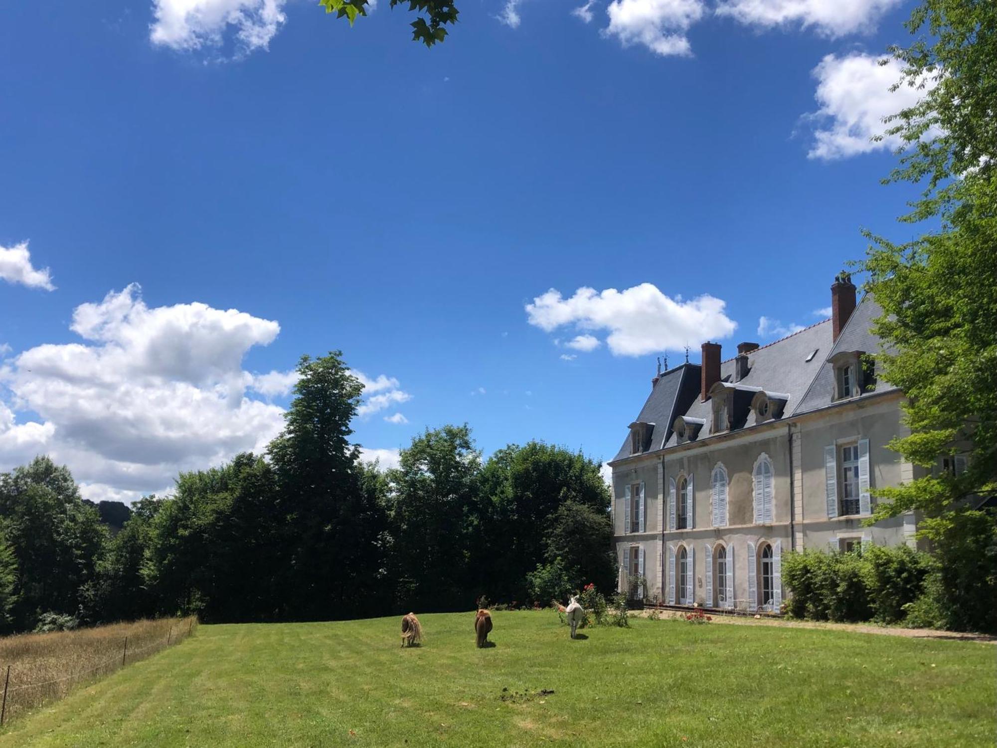 Chateau De Vaux Morvan Etang-sur-Arroux Eksteriør bilde